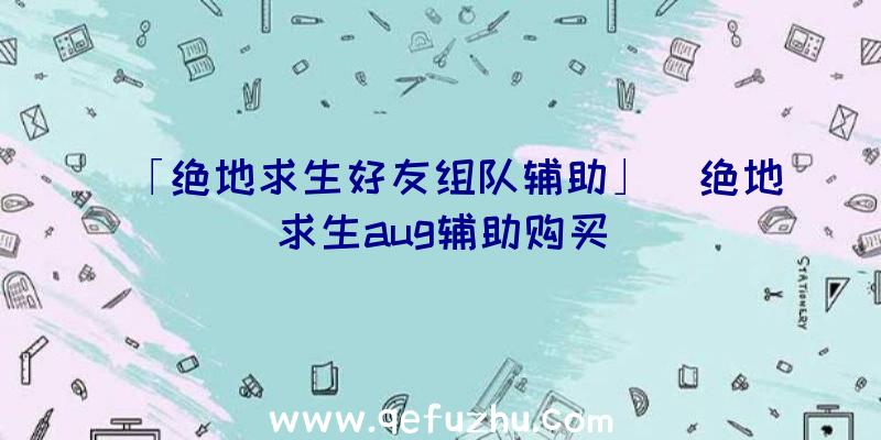 「绝地求生好友组队辅助」|绝地求生aug辅助购买